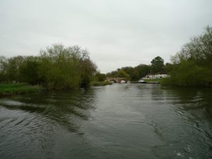 The view downstream towards Shillingford Bridge - the meado on the left's for sale!