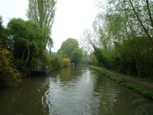 Suburban canal