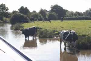Canal users come in many shapes and sizes...